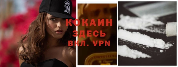 крисы Алексин