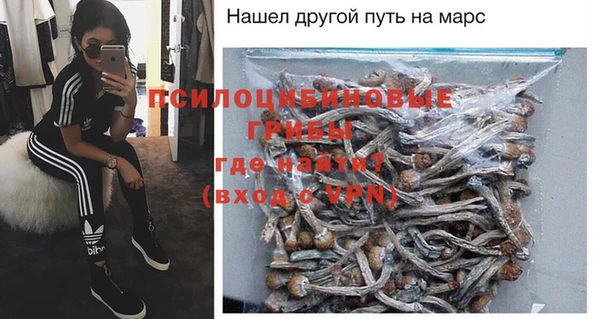 крисы Алексин