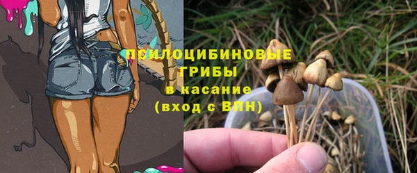 крисы Алексин