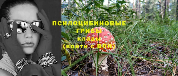 таблы Алексеевка
